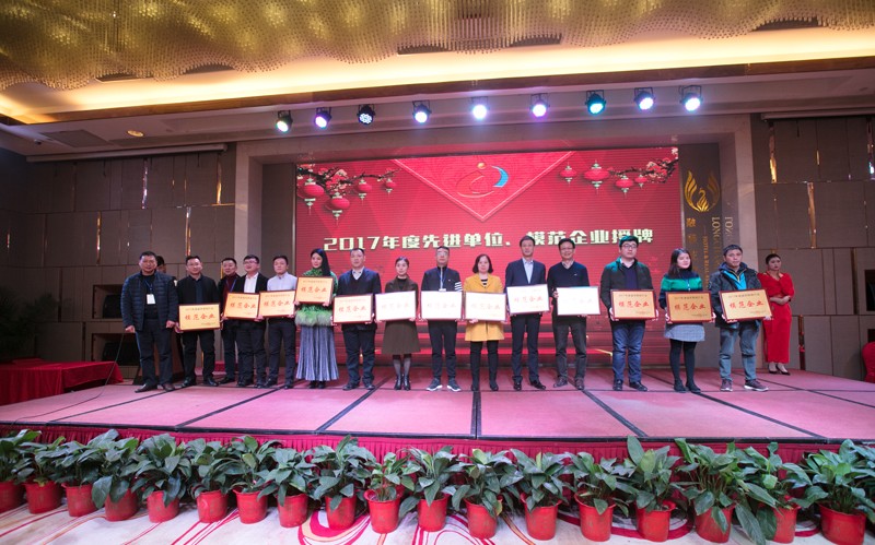 湖南省城市照明分會頒獎 湖南省城市照明分會頒獎